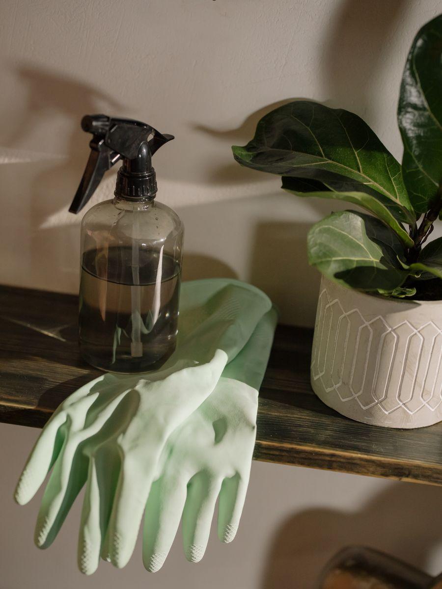 Gants de ménage et flacon pulvérisateur écologiques utilisés par Neora à Orléans